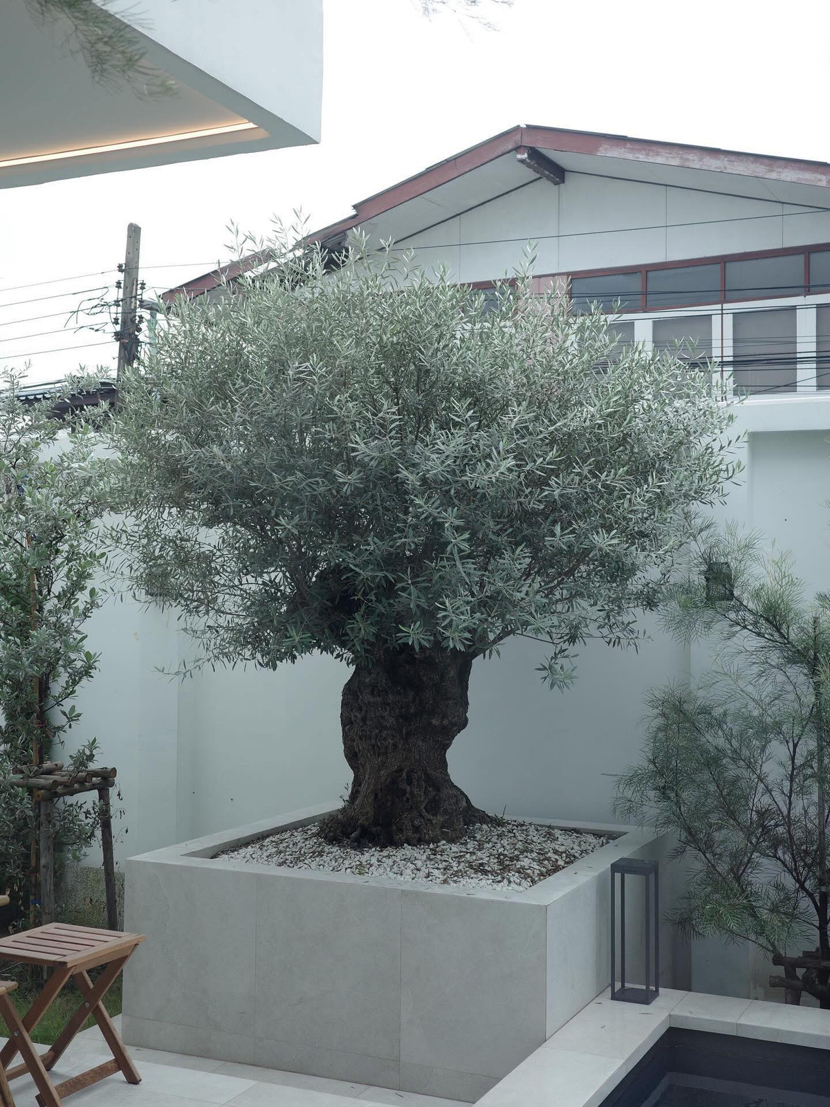 For SaleHouseChokchai 4, Ladprao 71, Ladprao 48, : 🏛️ New house for sale, self-built, ready to move in, good location, hard to find, Lat Phrao area 64✨ 2-story detached house with swimming pool Usable area 440 sq m., land 100 sq m. | 3 bedrooms, 5 bathrooms, 4 parking spaces, only 30 MB!!! Contact to make