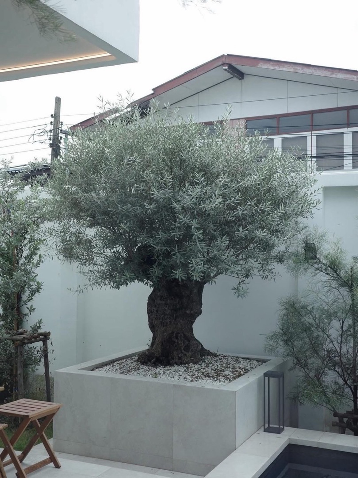 ขายบ้านลาดพร้าว เซ็นทรัลลาดพร้าว : Pool Villa หรูสร้างเอง ลาดพร้าว 64 ที่ดิน 100 ตร.วา พื้นที่ใข้สอย 440 ตร.ม. 📲 𝟎𝟔𝟒-𝟕𝟗𝟒𝟒𝟐𝟔𝟑(คุณน้ำ) 