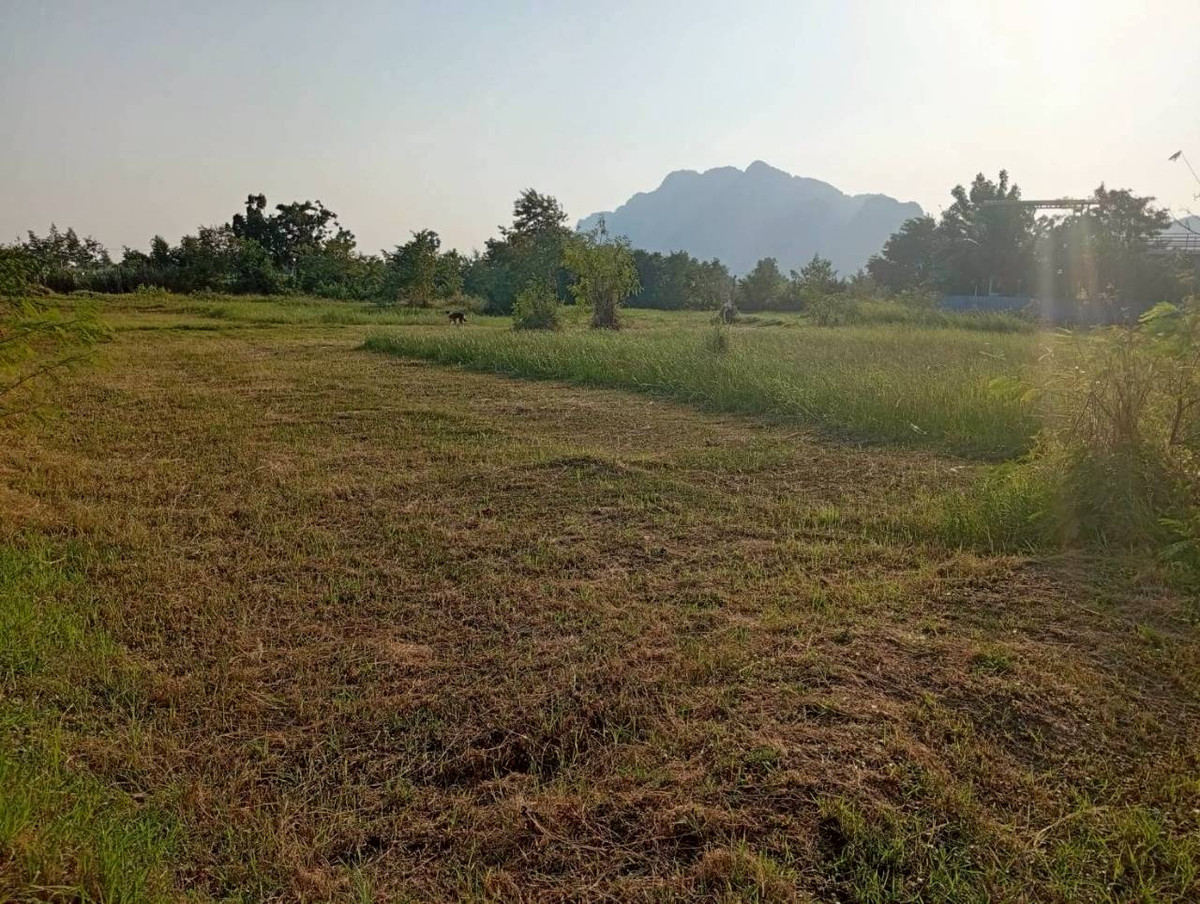 For SaleLandCha-am Phetchaburi : 🏡💥 Land for sale, already filled in - complete with water and electricity - next to a public road 📍 Na Yang Subdistrict, Cha-am District, Phetchaburi Province, size 72 square wah.