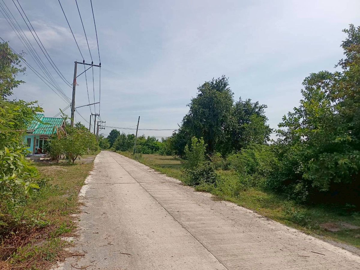 ขายที่ดินหัวหิน ประจวบคีรีขันธ์ : 🏡💥 ขาย ที่ดินถมแล้ว 100 ตรว– น้ำไฟครบ – ราคาต่ำสุดในโซนเดียวกัน! 📍 ต.หินเหล็กไฟ อ.หัวหิน จ.ประจวบคีรีขันธ์