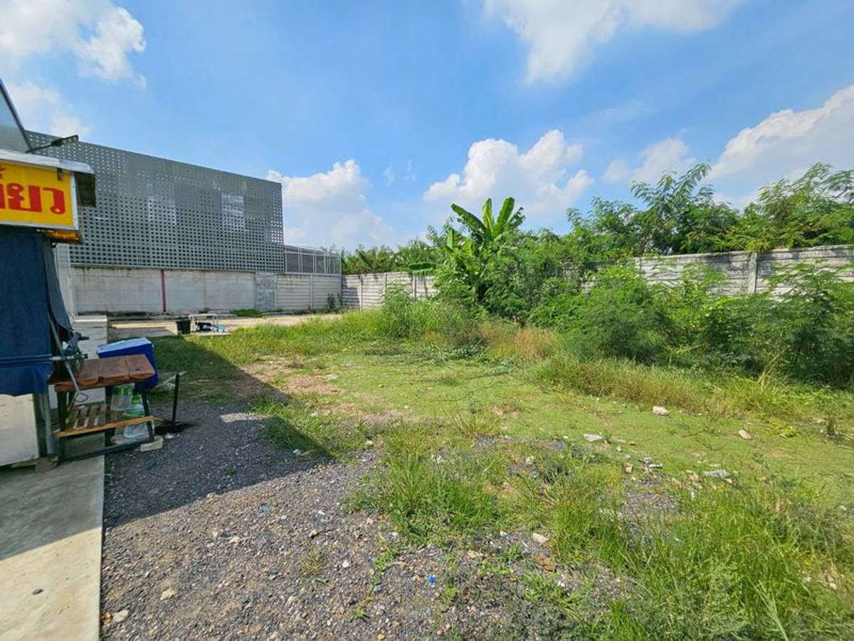 ให้เช่าที่ดินปทุมธานี รังสิต ธรรมศาสตร์ :  แบ่งให้เช่าที่ดิน 150 ตร.ว. ติดถนนใหญ่ 4 เลน คลอง 7 ติด 7-11 และ Studio7 ใกล้ตลาดชัชวาล ต.บึงคำพร้อย อ.ลำลูกกา จ.ปทุมธานี