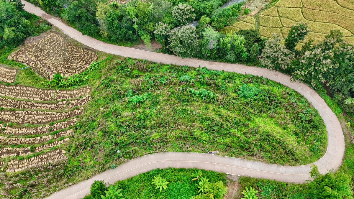 ขายที่ดินเชียงใหม่ : ขายที่ดิน บนเนินดอย ฮวงจุ้ยท้องมังกร เห็นวิวดอยอินทนนท์ วิวดีหมอกสวยมาก ต.ท่าผา อ.แม่แจ่ม จ.เชียงใหม่ ขนาด 2-0-11.8 ไร่ ราคาดีมากๆ 