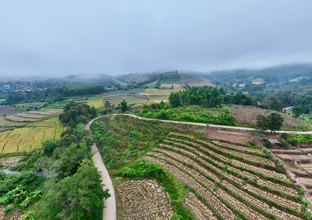 ขายที่ดินเชียงใหม่ : ขายที่ดิน บนเนินดอย ฮวงจุ้ยท้องมังกร เห็นวิวดอยอินทนนท์ วิวดีหมอกสวยมาก ต.ท่าผา อ.แม่แจ่ม จ.เชียงใหม่ ขนาด 2-0-11.8 ไร่ ราคาดีมากๆ 