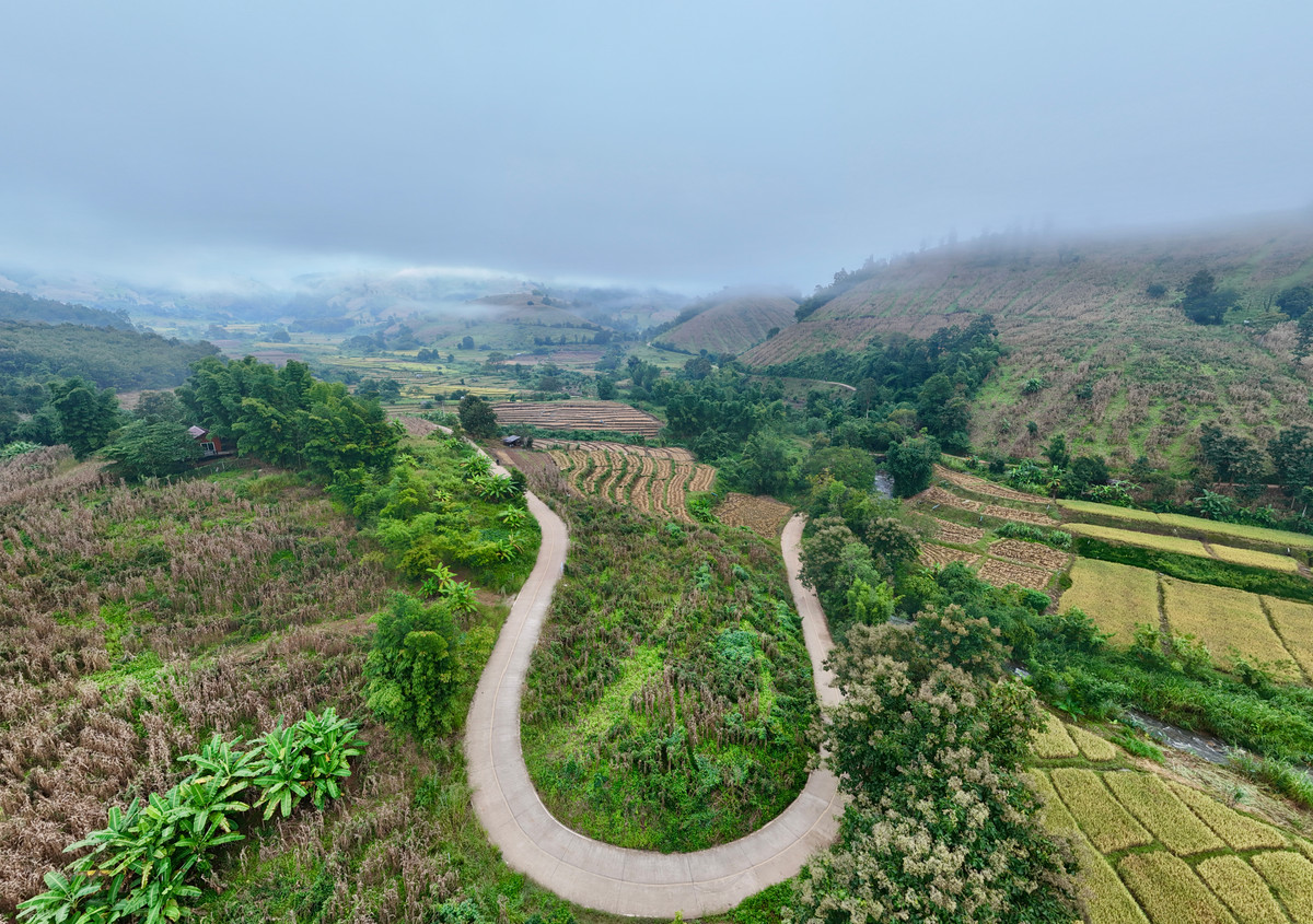 ขายที่ดินเชียงใหม่ : ขายที่ดิน บนเนินดอย ฮวงจุ้ยท้องมังกร เห็นวิวดอยอินทนนท์ วิวดีหมอกสวยมาก ต.ท่าผา อ.แม่แจ่ม จ.เชียงใหม่ ขนาด 2-0-11.8 ไร่ ราคาดีมากๆ 