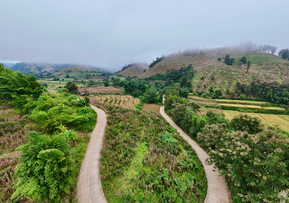 ขายที่ดินเชียงใหม่ : ขายที่ดิน บนเนินดอย ฮวงจุ้ยท้องมังกร เห็นวิวดอยอินทนนท์ วิวดีหมอกสวยมาก ต.ท่าผา อ.แม่แจ่ม จ.เชียงใหม่ ขนาด 2-0-11.8 ไร่ ราคาดีมากๆ 