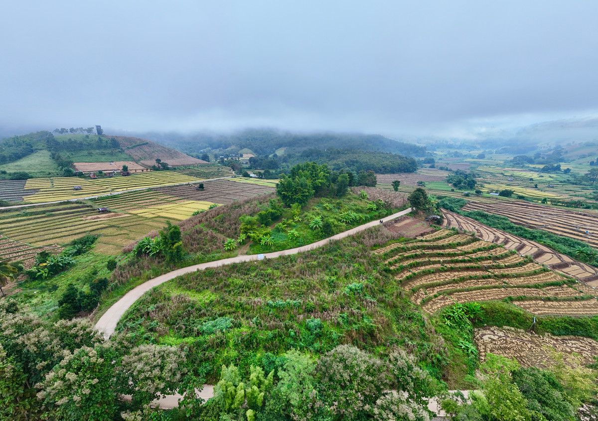ขายที่ดินเชียงใหม่ : ขายที่ดิน บนเนินดอย ฮวงจุ้ยท้องมังกร เห็นวิวดอยอินทนนท์ วิวดีหมอกสวยมาก ต.ท่าผา อ.แม่แจ่ม จ.เชียงใหม่ ขนาด 2-0-11.8 ไร่ ราคาดีมากๆ 