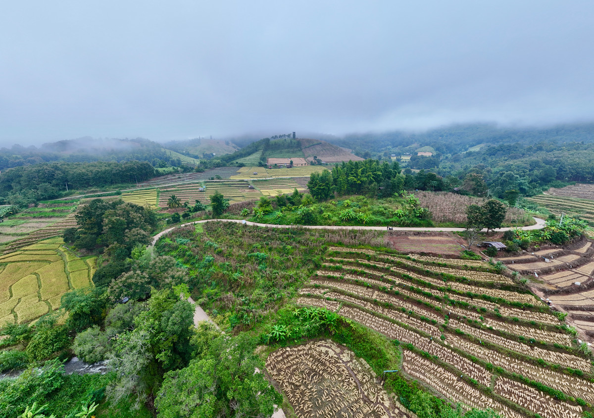 ขายที่ดินเชียงใหม่ : ขายที่ดิน บนเนินดอย ฮวงจุ้ยท้องมังกร เห็นวิวดอยอินทนนท์ วิวดีหมอกสวยมาก ต.ท่าผา อ.แม่แจ่ม จ.เชียงใหม่ ขนาด 2-0-11.8 ไร่ ราคาดีมากๆ 