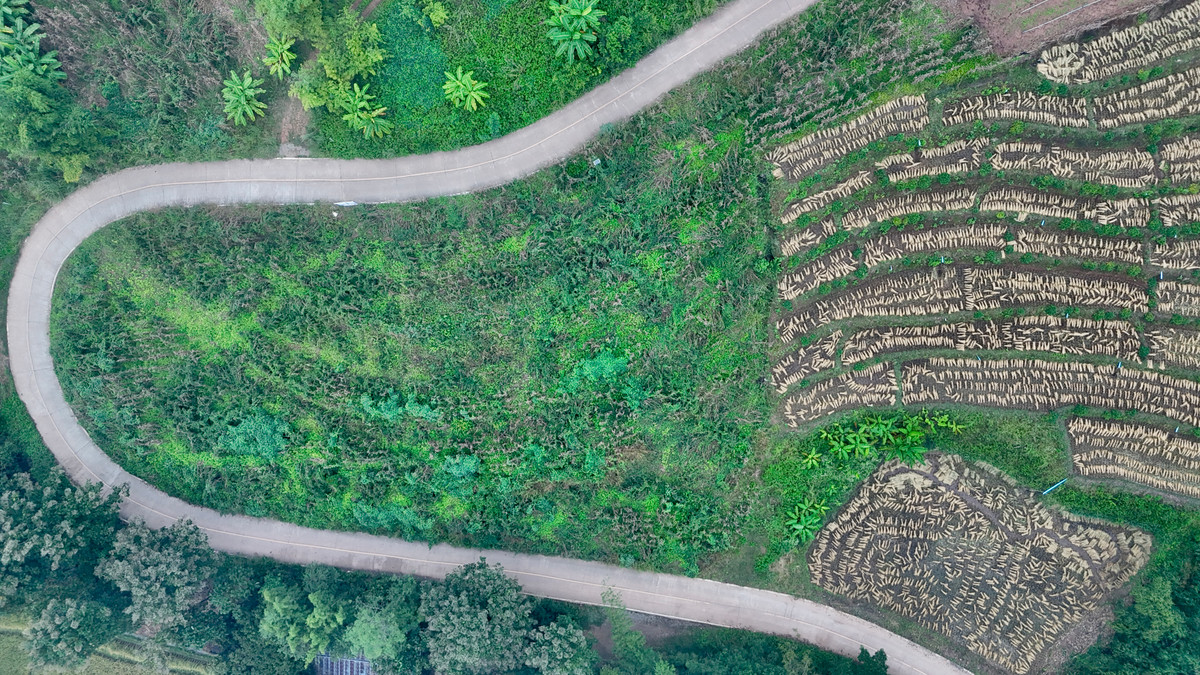 ขายที่ดินเชียงใหม่ : ขายที่ดิน บนเนินดอย ฮวงจุ้ยท้องมังกร เห็นวิวดอยอินทนนท์ วิวดีหมอกสวยมาก ต.ท่าผา อ.แม่แจ่ม จ.เชียงใหม่ ขนาด 2-0-11.8 ไร่ ราคาดีมากๆ 