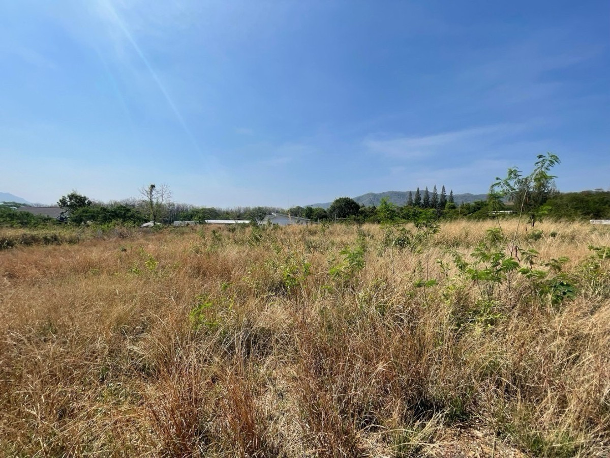 ขายที่ดินสระบุรี : ขายที่ดินวิวภูเขา มวกเหล็ก ใกล้เขาใหญ่ แปลงสวย บรรยากาศดี เหมาะสร้างบ้านพักตากอากาศ
