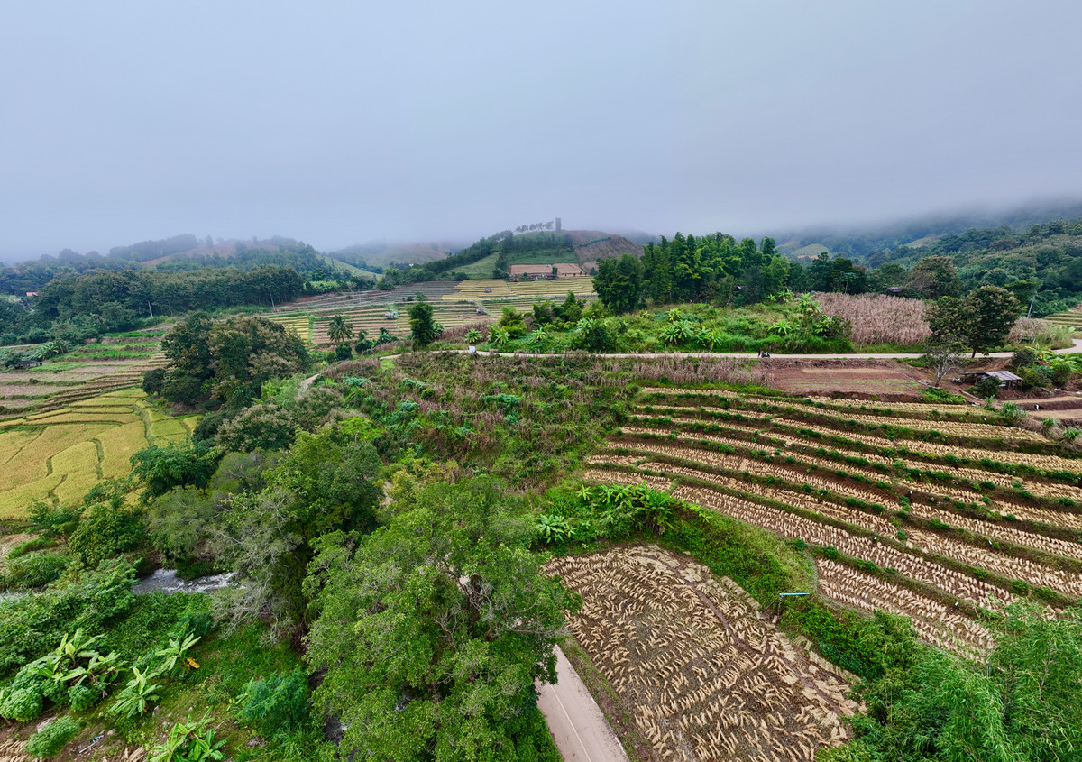 ขายที่ดินเชียงใหม่ : ขายที่ดิน บนเนินดอย ฮวงจุ้ยท้องมังกร เห็นวิวดอยอินทนนท์ วิวดีหมอกสวยมาก ต.ท่าผา อ.แม่แจ่ม จ.เชียงใหม่ ขนาด 2-0-11.8 ไร่ ราคาดีมากๆ 