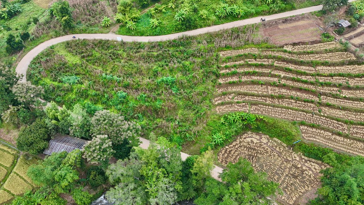 ขายที่ดินเชียงใหม่ : ขายที่ดิน บนเนินดอย ฮวงจุ้ยท้องมังกร เห็นวิวดอยอินทนนท์ วิวดีหมอกสวยมาก ต.ท่าผา อ.แม่แจ่ม จ.เชียงใหม่ ขนาด 2-0-11.8 ไร่ ราคาดีมากๆ 