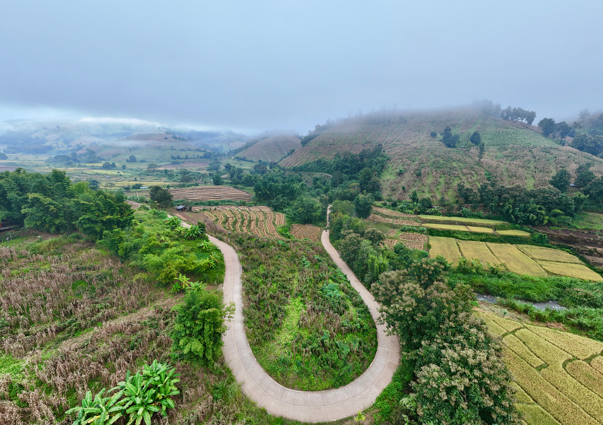 ขายที่ดินเชียงใหม่ : ขายที่ดิน บนเนินดอย ฮวงจุ้ยท้องมังกร เห็นวิวดอยอินทนนท์ วิวดีหมอกสวยมาก ต.ท่าผา อ.แม่แจ่ม จ.เชียงใหม่ ขนาด 2-0-11.8 ไร่ ราคาดีมากๆ 