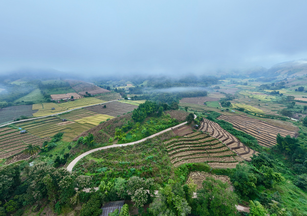 ขายที่ดินเชียงใหม่ : ขายที่ดิน บนเนินดอย ฮวงจุ้ยท้องมังกร เห็นวิวดอยอินทนนท์ วิวดีหมอกสวยมาก ต.ท่าผา อ.แม่แจ่ม จ.เชียงใหม่ ขนาด 2-0-11.8 ไร่ ราคาดีมากๆ 