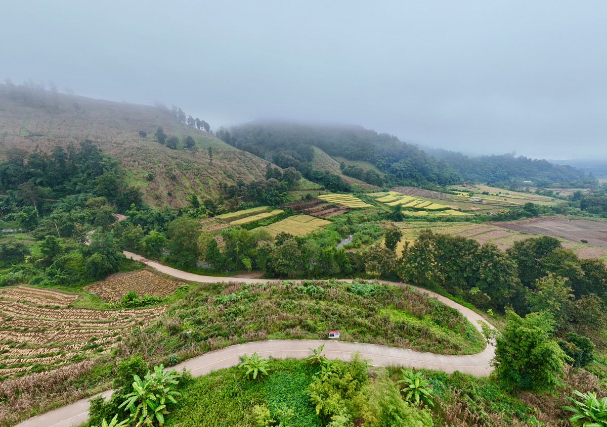 ขายที่ดินเชียงใหม่ : ขายที่ดิน บนเนินดอย ฮวงจุ้ยท้องมังกร เห็นวิวดอยอินทนนท์ วิวดีหมอกสวยมาก ต.ท่าผา อ.แม่แจ่ม จ.เชียงใหม่ ขนาด 2-0-11.8 ไร่ ราคาดีมากๆ 