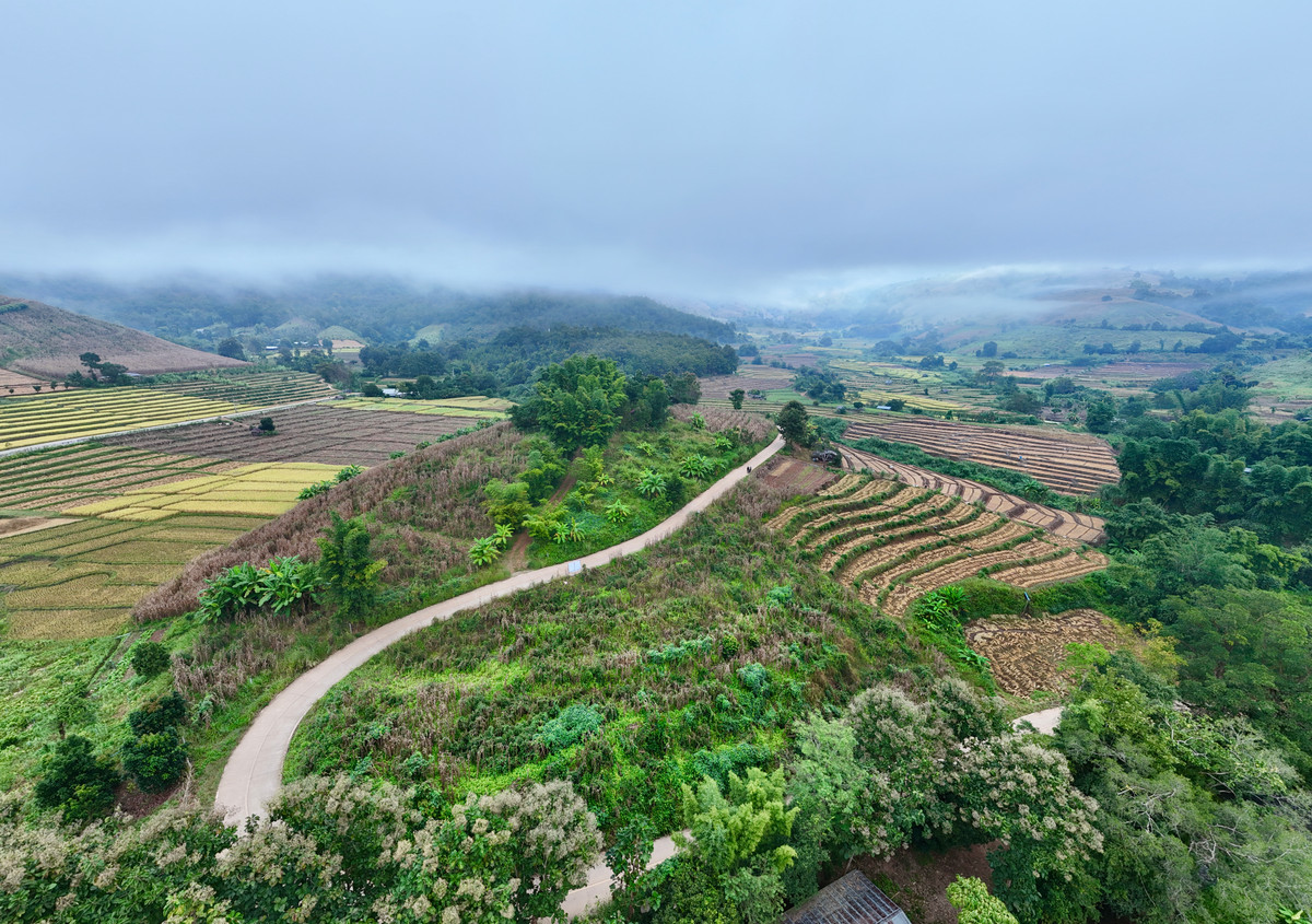ขายที่ดินเชียงใหม่ : ขายที่ดิน บนเนินดอย ฮวงจุ้ยท้องมังกร เห็นวิวดอยอินทนนท์ วิวดีหมอกสวยมาก ต.ท่าผา อ.แม่แจ่ม จ.เชียงใหม่ ขนาด 2-0-11.8 ไร่ ราคาดีมากๆ 