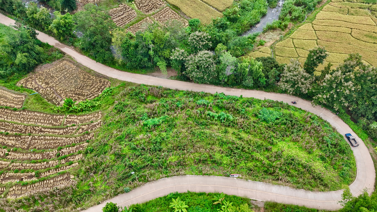 ขายที่ดินเชียงใหม่ : ขายที่ดิน บนเนินดอย ฮวงจุ้ยท้องมังกร เห็นวิวดอยอินทนนท์ วิวดีหมอกสวยมาก ต.ท่าผา อ.แม่แจ่ม จ.เชียงใหม่ ขนาด 2-0-11.8 ไร่ ราคาดีมากๆ 