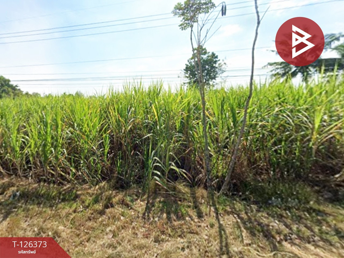 ขายที่ดินราชบุรี : ขายด่วนที่ดิน เนื้อที่ 7 ไร่ 61.1 ตร.วา จอมบึง ราชบุรี