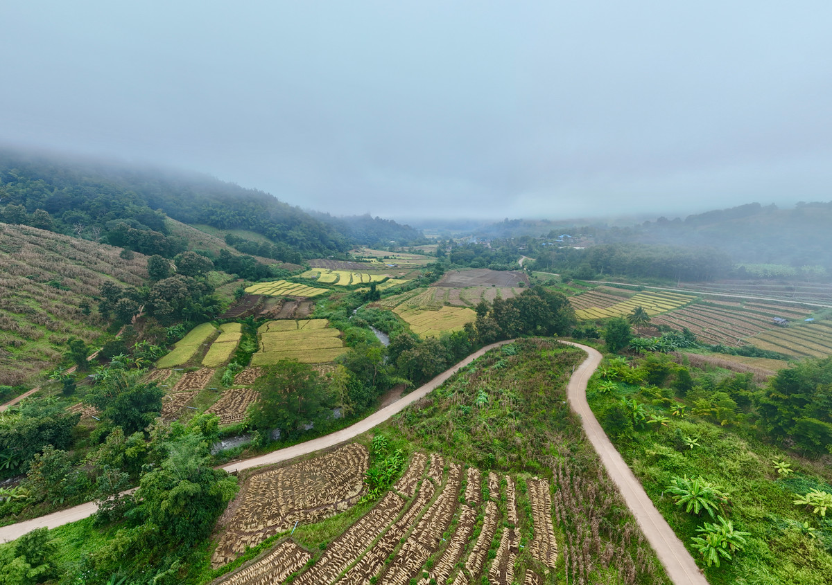 ขายที่ดินเชียงใหม่ : ขายที่ดิน บนเนินดอย ฮวงจุ้ยท้องมังกร เห็นวิวดอยอินทนนท์ วิวดีหมอกสวยมาก ต.ท่าผา อ.แม่แจ่ม จ.เชียงใหม่ ขนาด 2-0-11.8 ไร่ ราคาดีมากๆ 