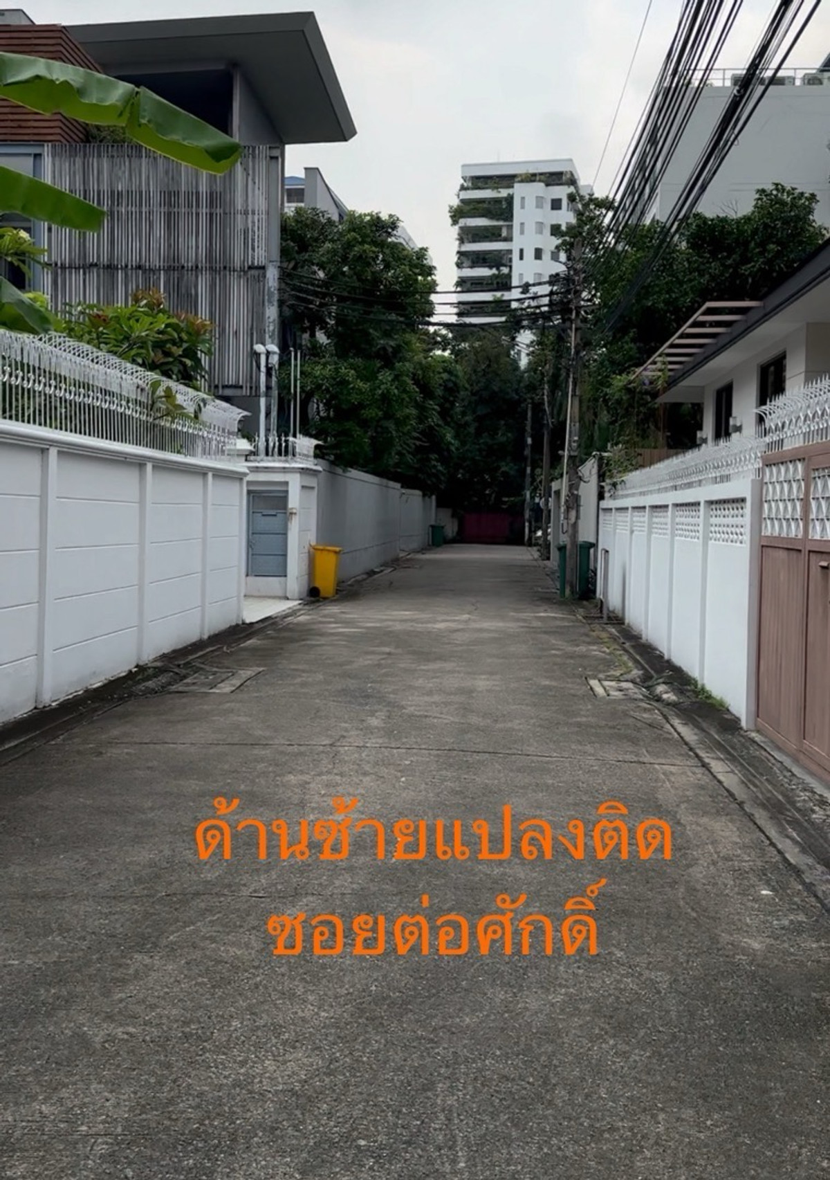 ขายที่ดินสุขุมวิท อโศก ทองหล่อ : ขายที่ดินแปลงสวย ดั้งเดิม ซอยทองหล่อ 19 สุขุมวิท 55 ทำเลดี ติดถนน 2 ด้าน ด้านข้างติดลำลางสาธารณะ ทองหล่อ สุขุมวิท ทำเลศักยภาพ