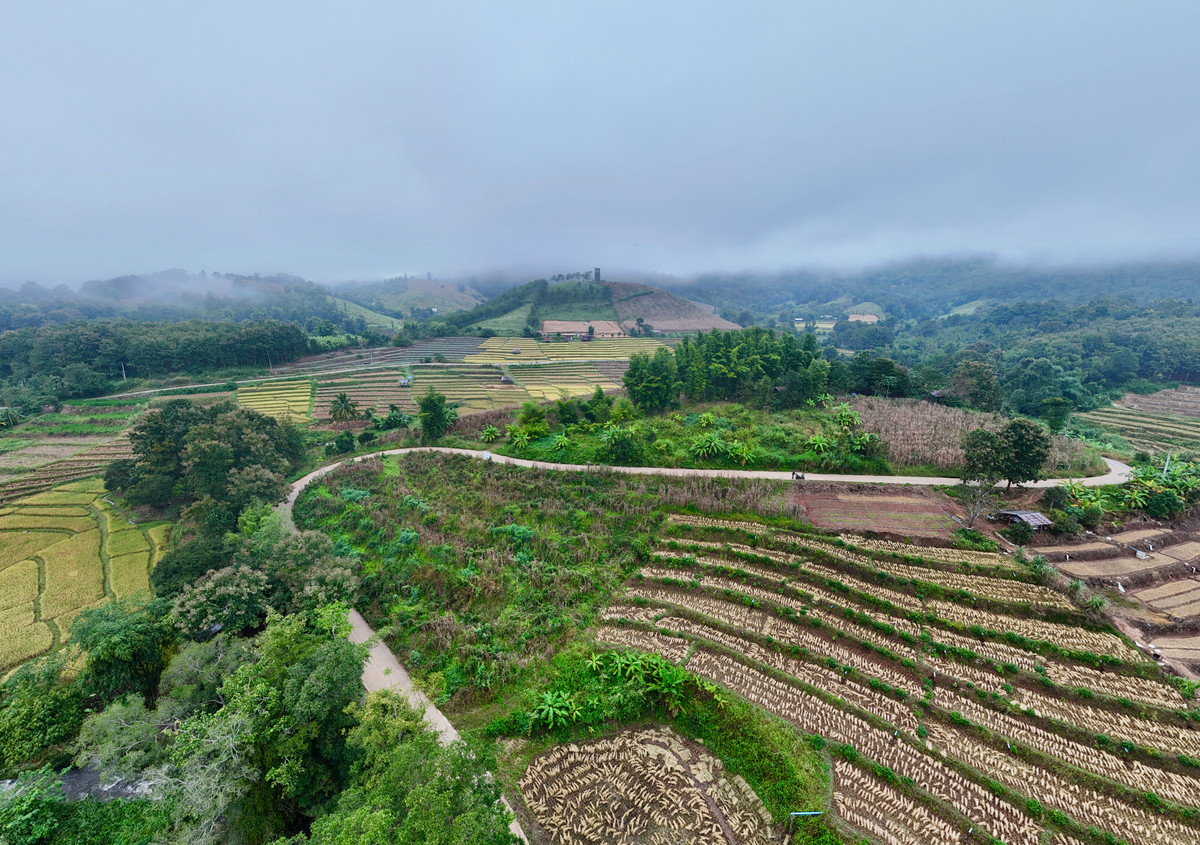 ขายที่ดินเชียงใหม่ : ขายที่ดิน บนเนินดอย ฮวงจุ้ยท้องมังกร เห็นวิวดอยอินทนนท์ วิวดีหมอกสวยมาก ต.ท่าผา อ.แม่แจ่ม จ.เชียงใหม่ ขนาด 2-0-11.8 ไร่ ราคาดีมากๆ 