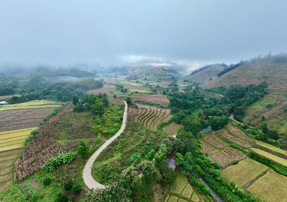 ขายที่ดินเชียงใหม่ : ขายที่ดิน บนเนินดอย ฮวงจุ้ยท้องมังกร เห็นวิวดอยอินทนนท์ วิวดีหมอกสวยมาก ต.ท่าผา อ.แม่แจ่ม จ.เชียงใหม่ ขนาด 2-0-11.8 ไร่ ราคาดีมากๆ 