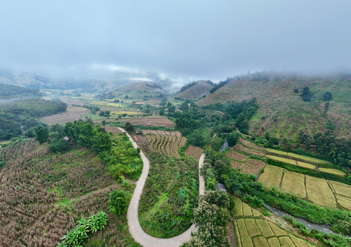 ขายที่ดินเชียงใหม่ : ขายที่ดิน บนเนินดอย ฮวงจุ้ยท้องมังกร เห็นวิวดอยอินทนนท์ วิวดีหมอกสวยมาก ต.ท่าผา อ.แม่แจ่ม จ.เชียงใหม่ ขนาด 2-0-11.8 ไร่ ราคาดีมากๆ 