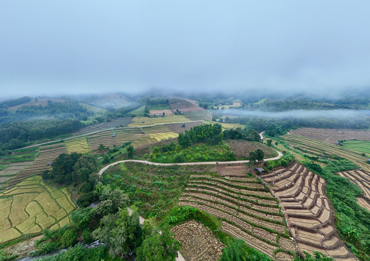 ขายที่ดินเชียงใหม่ : ขายที่ดิน บนเนินดอย ฮวงจุ้ยท้องมังกร เห็นวิวดอยอินทนนท์ วิวดีหมอกสวยมาก ต.ท่าผา อ.แม่แจ่ม จ.เชียงใหม่ ขนาด 2-0-11.8 ไร่ ราคาดีมากๆ 