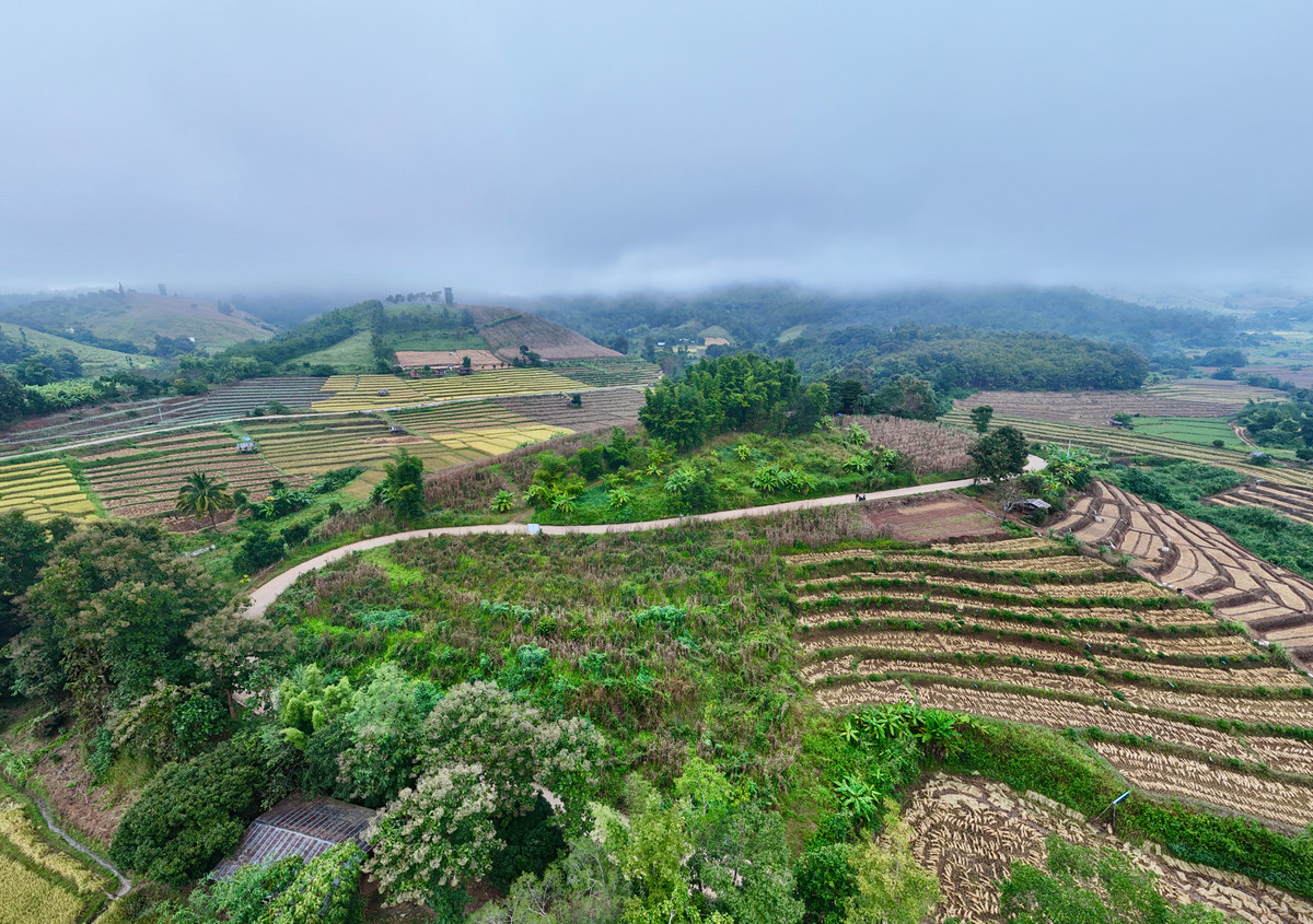 ขายที่ดินเชียงใหม่ : ขายที่ดิน บนเนินดอย ฮวงจุ้ยท้องมังกร เห็นวิวดอยอินทนนท์ วิวดีหมอกสวยมาก ต.ท่าผา อ.แม่แจ่ม จ.เชียงใหม่ ขนาด 2-0-11.8 ไร่ ราคาดีมากๆ 