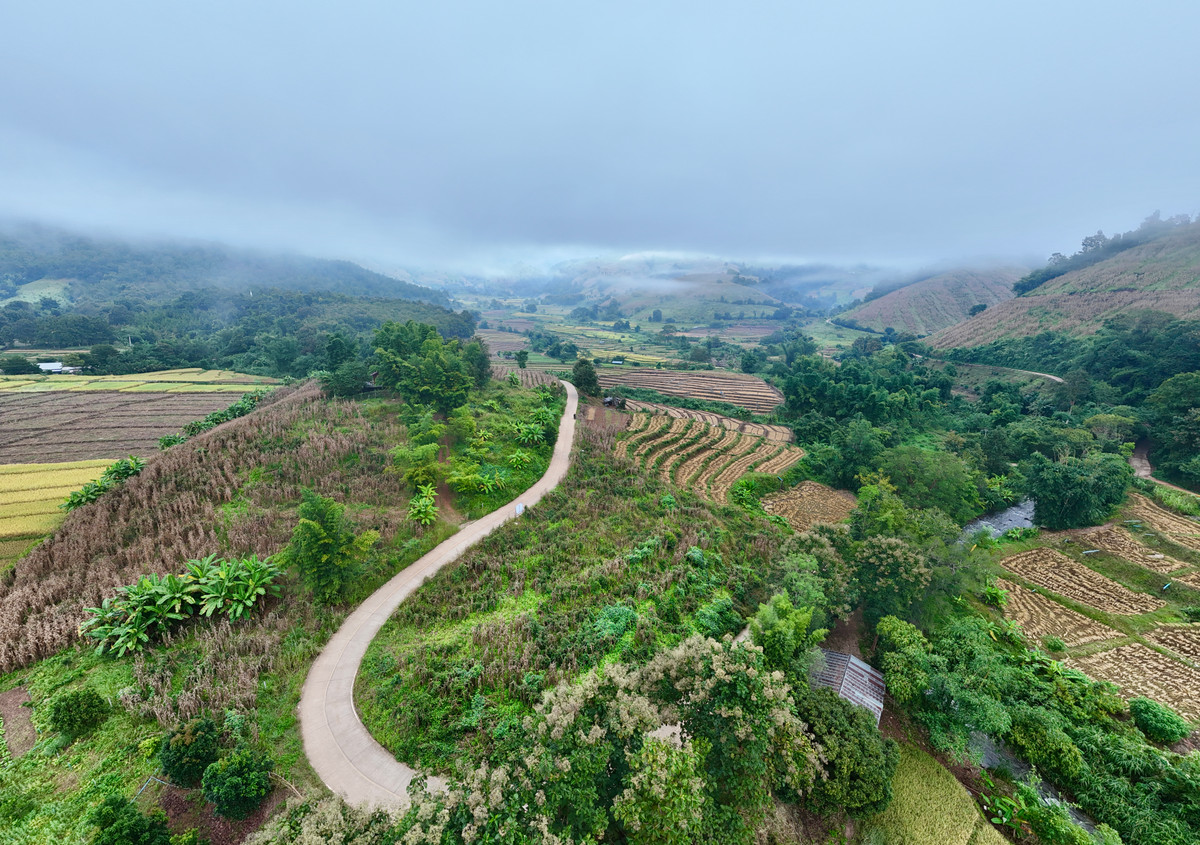 ขายที่ดินเชียงใหม่ : ขายที่ดิน บนเนินดอย ฮวงจุ้ยท้องมังกร เห็นวิวดอยอินทนนท์ วิวดีหมอกสวยมาก ต.ท่าผา อ.แม่แจ่ม จ.เชียงใหม่ ขนาด 2-0-11.8 ไร่ ราคาดีมากๆ 