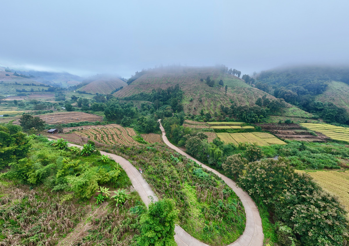 ขายที่ดินเชียงใหม่ : ขายที่ดิน บนเนินดอย ฮวงจุ้ยท้องมังกร เห็นวิวดอยอินทนนท์ วิวดีหมอกสวยมาก ต.ท่าผา อ.แม่แจ่ม จ.เชียงใหม่ ขนาด 2-0-11.8 ไร่ ราคาดีมากๆ 