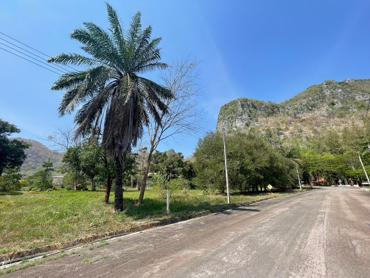 ขายที่ดินปากช่อง เขาใหญ่ : 📢👇 โอกาสดีสำหรับผู้ที่มองหาที่ดินในทำเลเขาใหญ่ อากาศดีตลอดปี ถนนกว้าง วิวเขาแบบพาโนรามา บรรยากาศเงียบสงบ
เหมาะสำหรับสร้างบ้านพักส่วนตัว ใกล้สถานที่ท่องเที่ยว