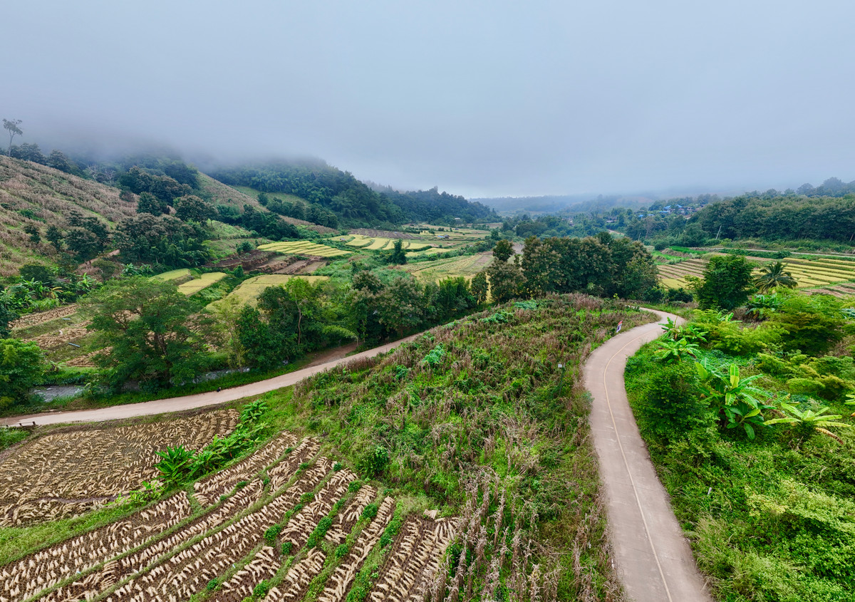 ขายที่ดินเชียงใหม่ : ขายที่ดิน บนเนินดอย ฮวงจุ้ยท้องมังกร เห็นวิวดอยอินทนนท์ วิวดีหมอกสวยมาก ต.ท่าผา อ.แม่แจ่ม จ.เชียงใหม่ ขนาด 2-0-11.8 ไร่ ราคาดีมากๆ 