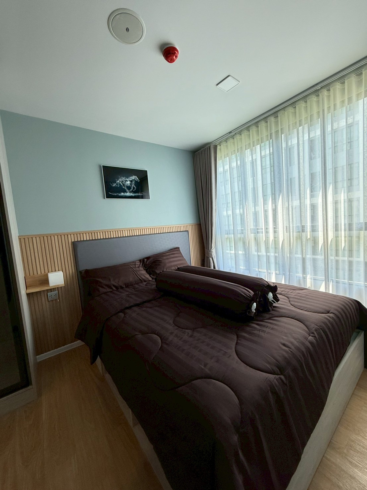 ให้เช่าคอนโดปทุมธานี รังสิต ธรรมศาสตร์ : ★ Atmoz Kanaal Rangsit ★ 29 ตรม.,ชั้น 5 (1 ห้องนอน 1 ห้องน้ำ), ★ใกล้ ม.รังสิต ★ใกล้ Future Park ,Zpell  ★ สิ่งอำนวยความสะดวกมากมาย★ เครื่องใช้ไฟฟ้าครบครัน★ 