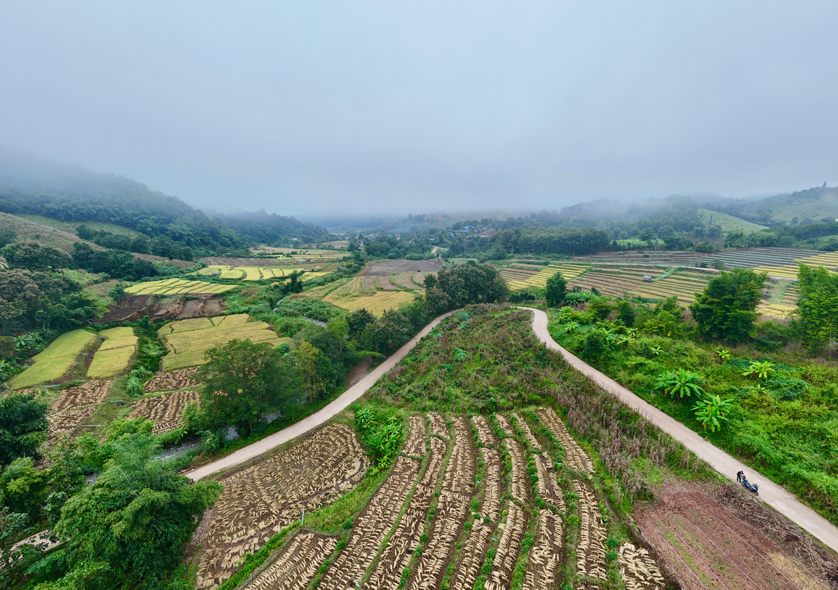 ขายที่ดินเชียงใหม่ : ขายที่ดิน บนเนินดอย ฮวงจุ้ยท้องมังกร เห็นวิวดอยอินทนนท์ วิวดีหมอกสวยมาก ต.ท่าผา อ.แม่แจ่ม จ.เชียงใหม่ ขนาด 2-0-11.8 ไร่ ราคาดีมากๆ 