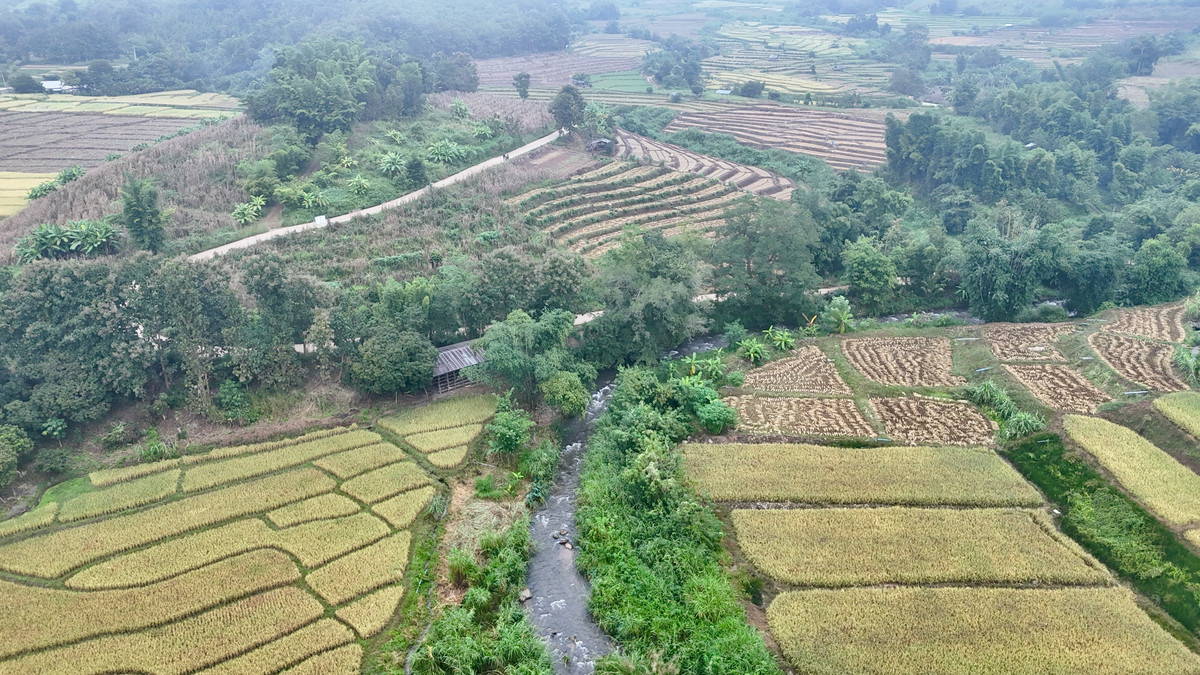 ขายที่ดินเชียงใหม่ : ขายที่ดิน บนเนินดอย ฮวงจุ้ยท้องมังกร เห็นวิวดอยอินทนนท์ วิวดีหมอกสวยมาก ต.ท่าผา อ.แม่แจ่ม จ.เชียงใหม่ ขนาด 2-0-11.8 ไร่ ราคาดีมากๆ 