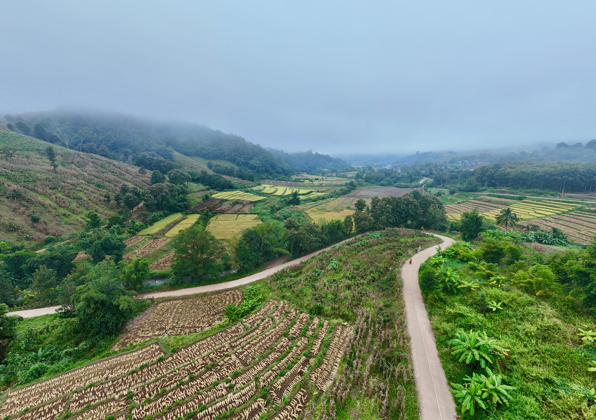 ขายที่ดินเชียงใหม่ : ขายที่ดิน บนเนินดอย ฮวงจุ้ยท้องมังกร เห็นวิวดอยอินทนนท์ วิวดีหมอกสวยมาก ต.ท่าผา อ.แม่แจ่ม จ.เชียงใหม่ ขนาด 2-0-11.8 ไร่ ราคาดีมากๆ 