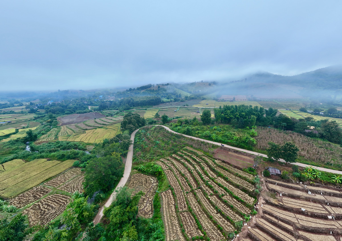 ขายที่ดินเชียงใหม่ : ขายที่ดิน บนเนินดอย ฮวงจุ้ยท้องมังกร เห็นวิวดอยอินทนนท์ วิวดีหมอกสวยมาก ต.ท่าผา อ.แม่แจ่ม จ.เชียงใหม่ ขนาด 2-0-11.8 ไร่ ราคาดีมากๆ 