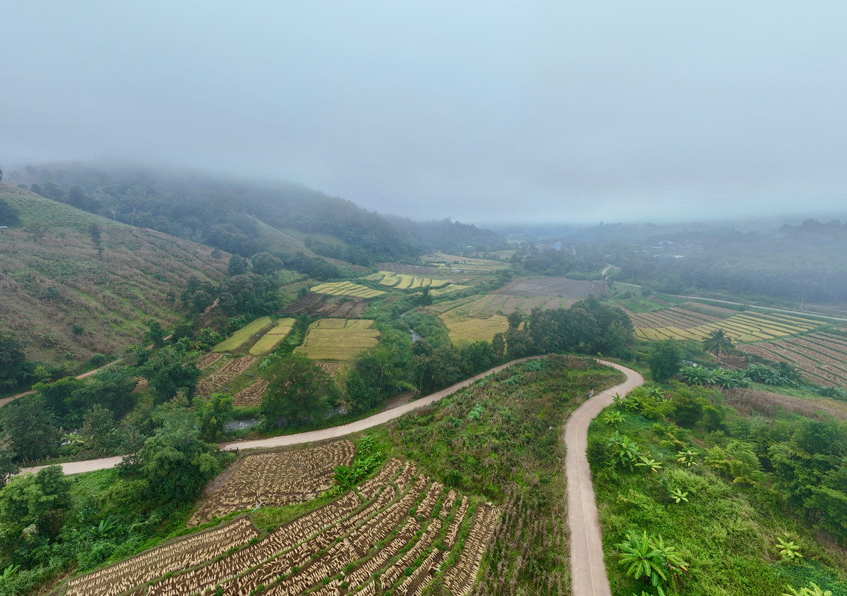 ขายที่ดินเชียงใหม่ : ขายที่ดิน บนเนินดอย ฮวงจุ้ยท้องมังกร เห็นวิวดอยอินทนนท์ วิวดีหมอกสวยมาก ต.ท่าผา อ.แม่แจ่ม จ.เชียงใหม่ ขนาด 2-0-11.8 ไร่ ราคาดีมากๆ 