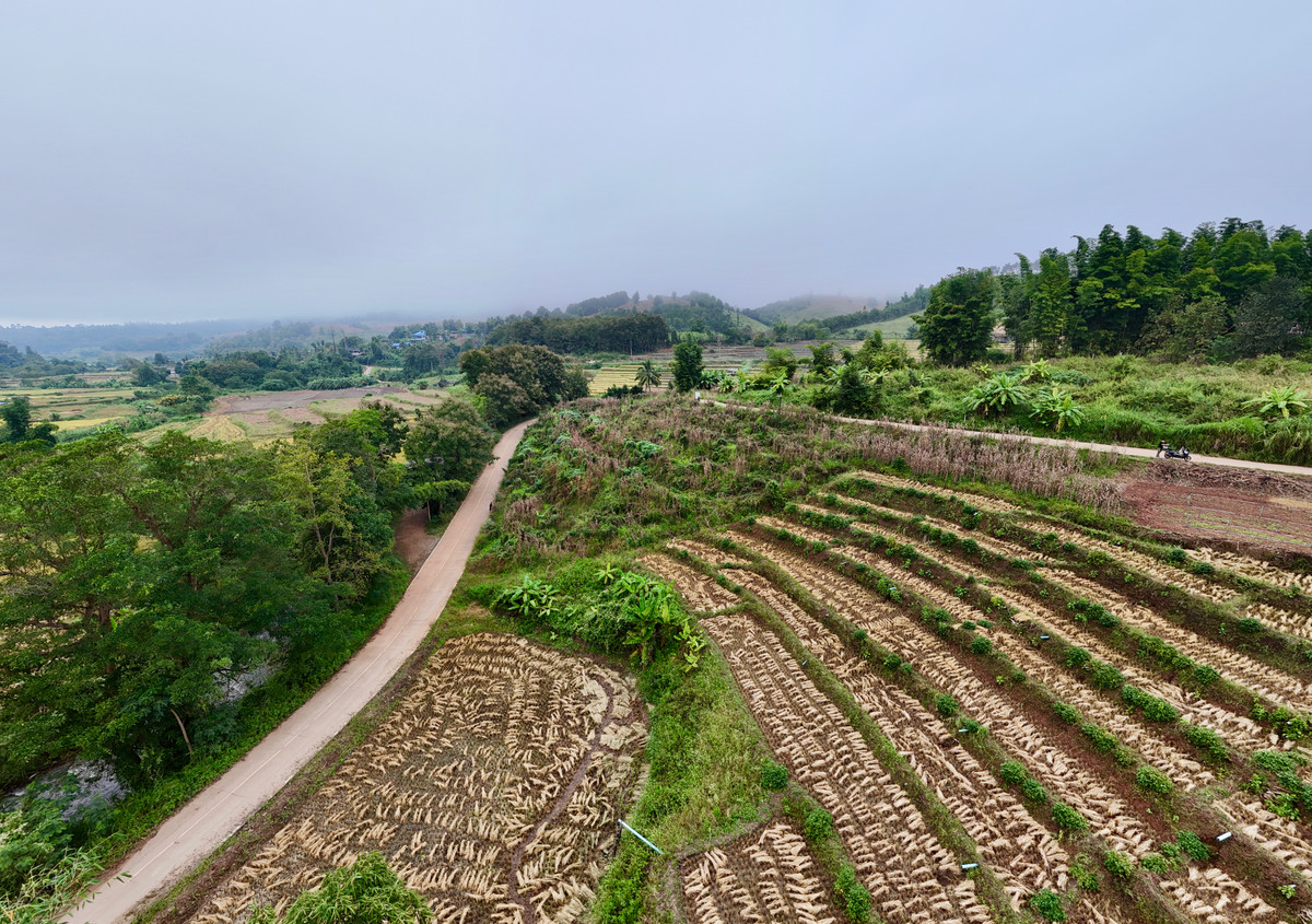 ขายที่ดินเชียงใหม่ : ขายที่ดิน บนเนินดอย ฮวงจุ้ยท้องมังกร เห็นวิวดอยอินทนนท์ วิวดีหมอกสวยมาก ต.ท่าผา อ.แม่แจ่ม จ.เชียงใหม่ ขนาด 2-0-11.8 ไร่ ราคาดีมากๆ 