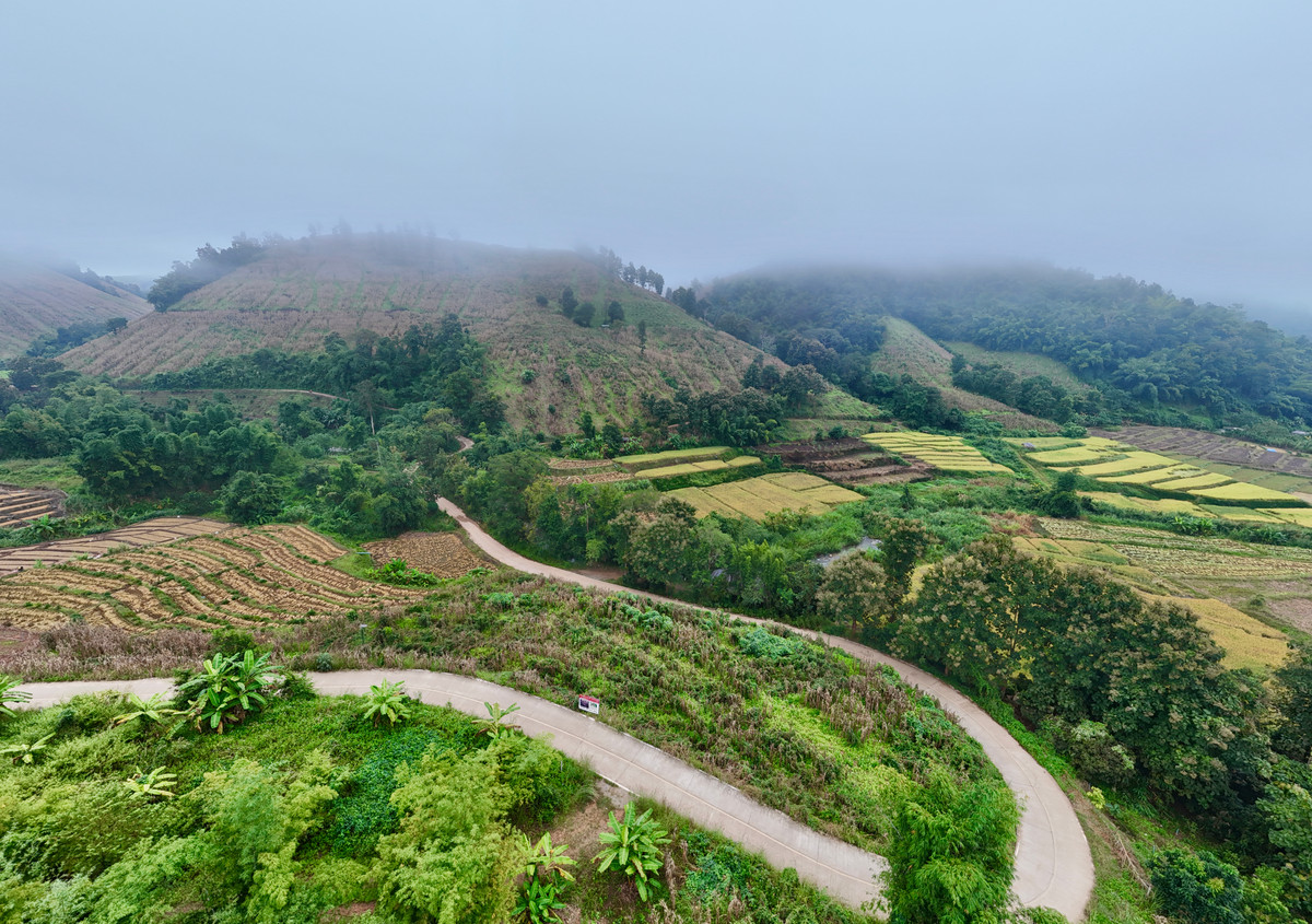 ขายที่ดินเชียงใหม่ : ขายที่ดิน บนเนินดอย ฮวงจุ้ยท้องมังกร เห็นวิวดอยอินทนนท์ วิวดีหมอกสวยมาก ต.ท่าผา อ.แม่แจ่ม จ.เชียงใหม่ ขนาด 2-0-11.8 ไร่ ราคาดีมากๆ 