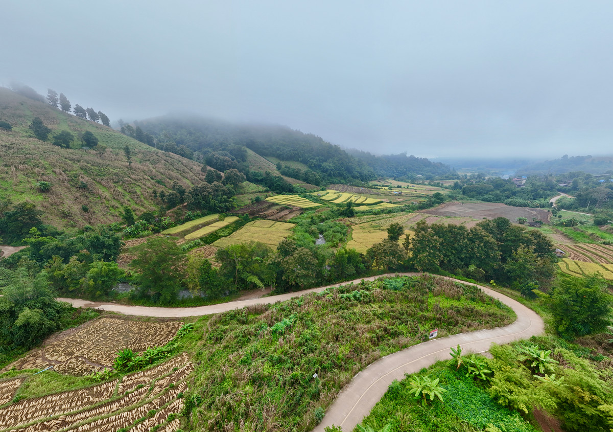 ขายที่ดินเชียงใหม่ : ขายที่ดิน บนเนินดอย ฮวงจุ้ยท้องมังกร เห็นวิวดอยอินทนนท์ วิวดีหมอกสวยมาก ต.ท่าผา อ.แม่แจ่ม จ.เชียงใหม่ ขนาด 2-0-11.8 ไร่ ราคาดีมากๆ 