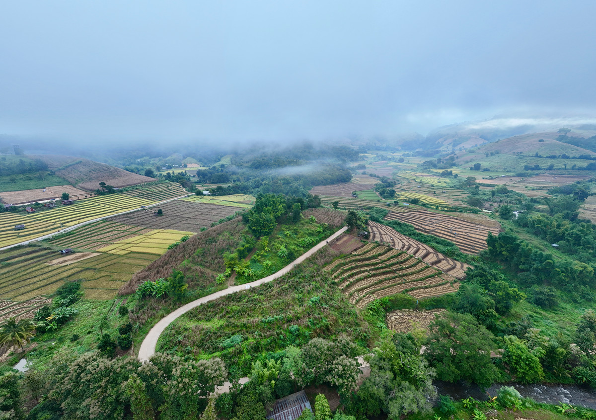 ขายที่ดินเชียงใหม่ : ขายที่ดิน บนเนินดอย ฮวงจุ้ยท้องมังกร เห็นวิวดอยอินทนนท์ วิวดีหมอกสวยมาก ต.ท่าผา อ.แม่แจ่ม จ.เชียงใหม่ ขนาด 2-0-11.8 ไร่ ราคาดีมากๆ 