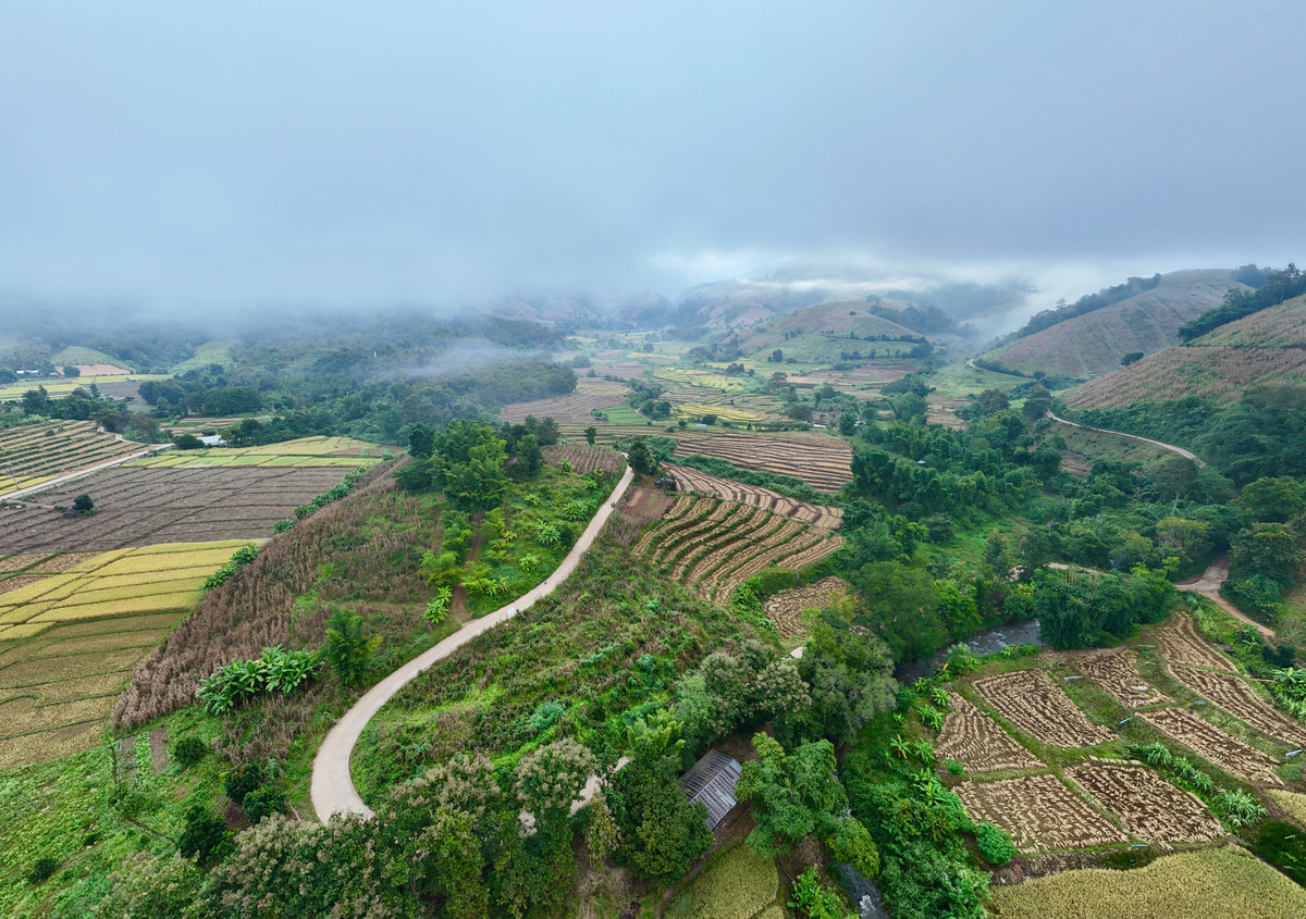 ขายที่ดินเชียงใหม่ : ขายที่ดิน บนเนินดอย ฮวงจุ้ยท้องมังกร เห็นวิวดอยอินทนนท์ วิวดีหมอกสวยมาก ต.ท่าผา อ.แม่แจ่ม จ.เชียงใหม่ ขนาด 2-0-11.8 ไร่ ราคาดีมากๆ 