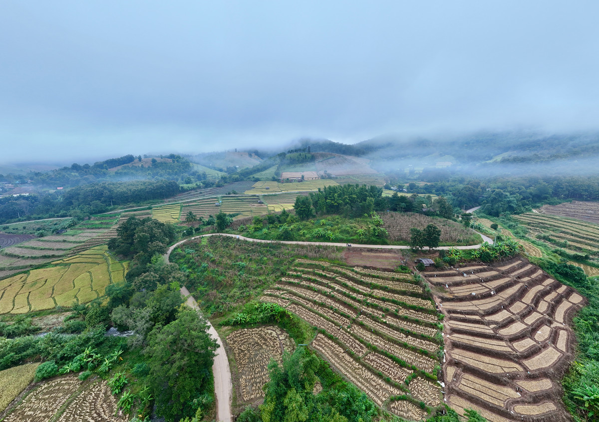 ขายที่ดินเชียงใหม่ : ขายที่ดิน บนเนินดอย ฮวงจุ้ยท้องมังกร เห็นวิวดอยอินทนนท์ วิวดีหมอกสวยมาก ต.ท่าผา อ.แม่แจ่ม จ.เชียงใหม่ ขนาด 2-0-11.8 ไร่ ราคาดีมากๆ 