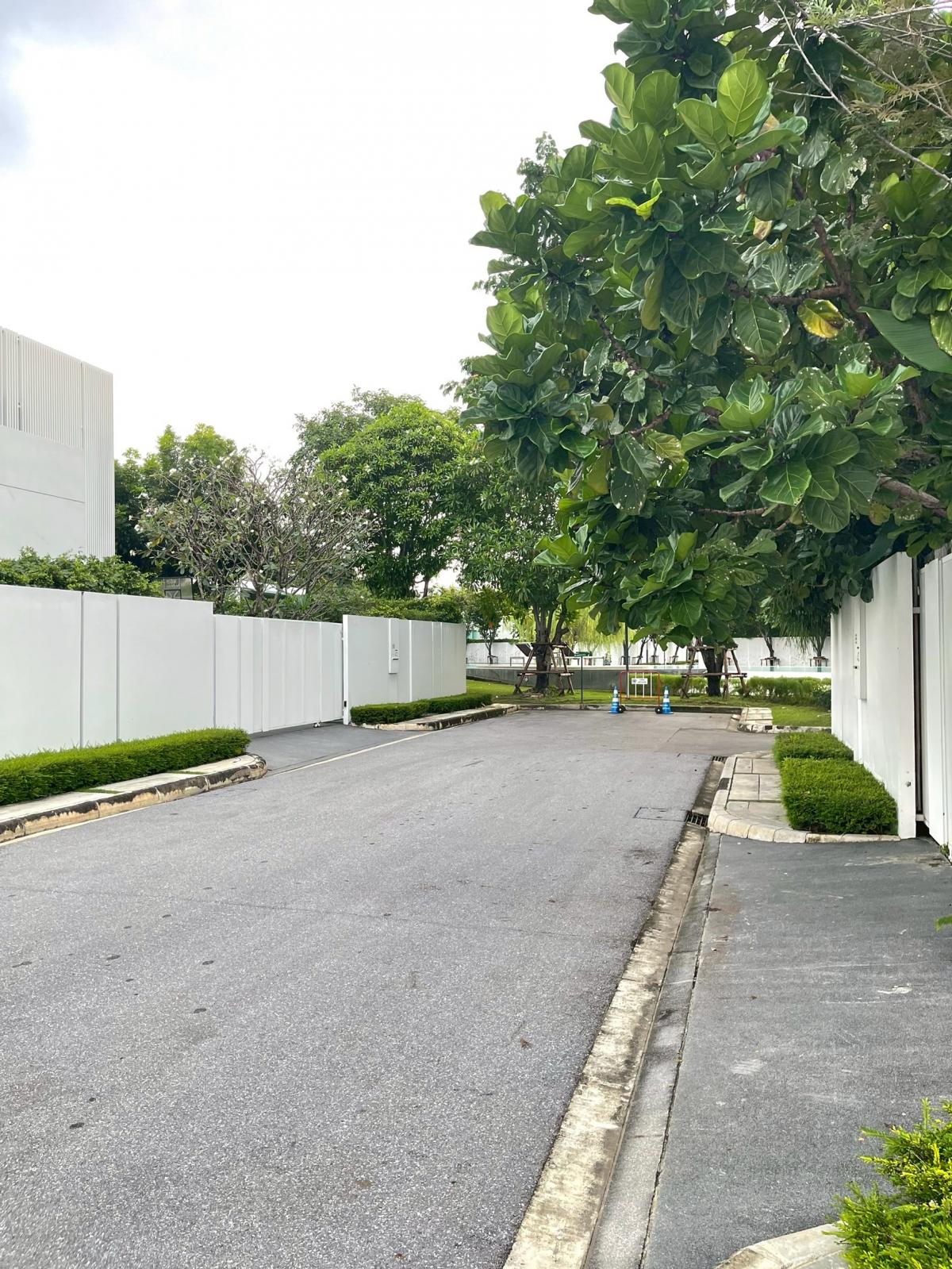 ขายบ้านบางนา แบริ่ง ลาซาล : 28/02/2026, บ้านหรู 3 ห้องนอน 4 ห้องน้ำ สุดกว้างขวางที่ VIVE Bangna ที่ดินใหญ่ 118.7 ตร.วา ทำเลทองใกล้บางนา ราคาพิเศษ 42 ล้าน