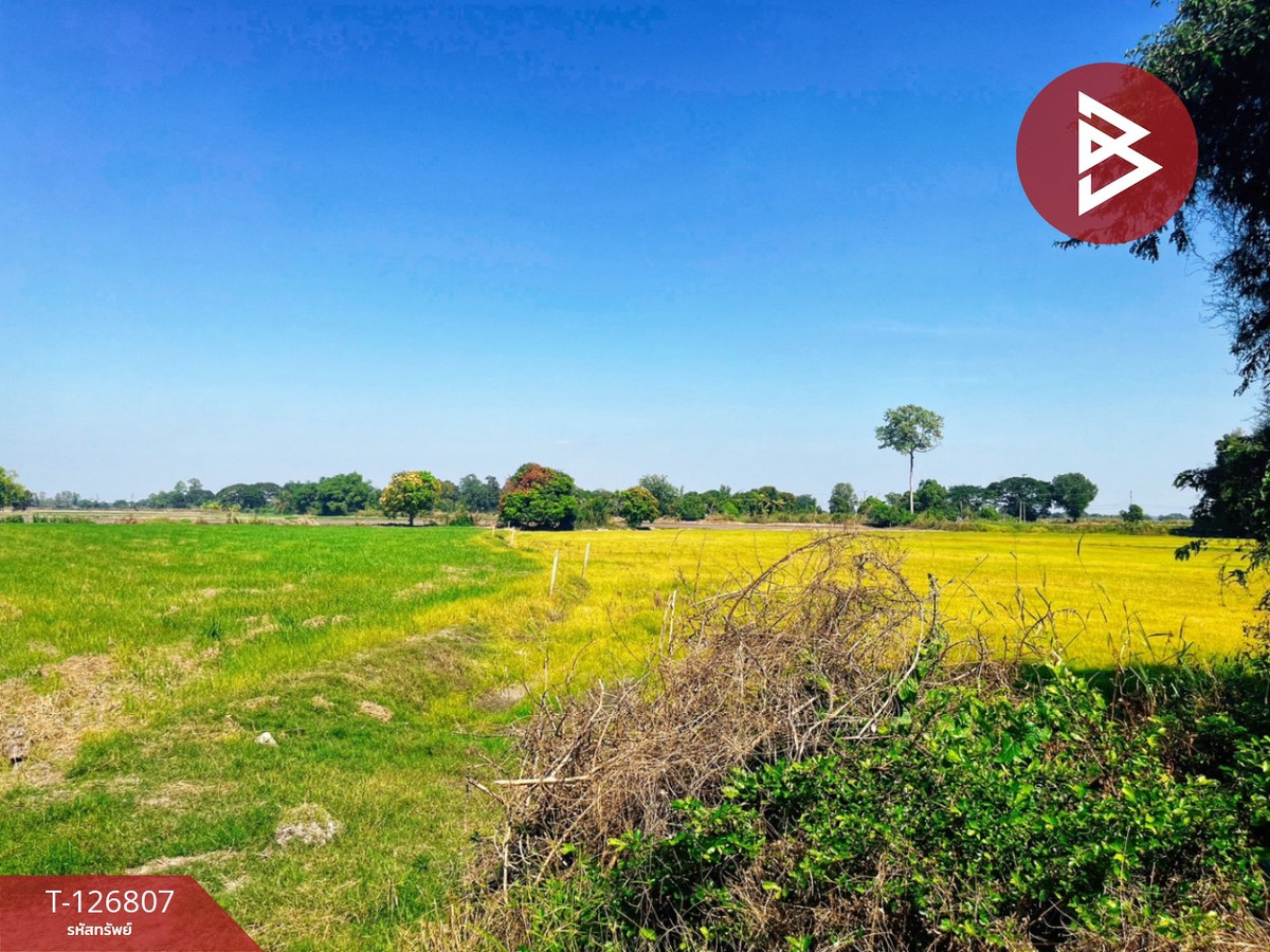 ขายที่ดินอุทัยธานี : ขายที่ดิน เนื้อที่ 1 ไร่ 3งาน 47 ตร.วา หนองขาหย่าง อุทัยธานี