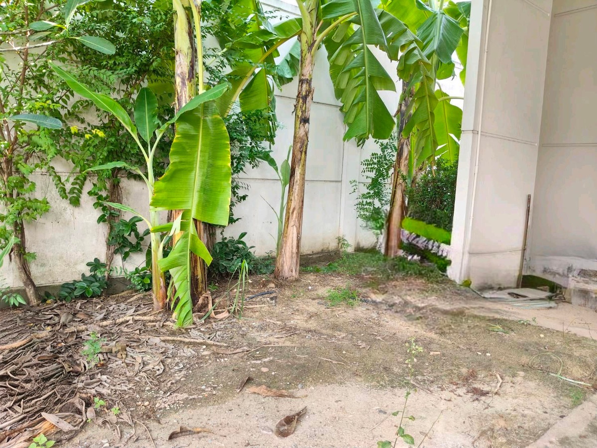 ขายบ้านพระราม 2 บางขุนเทียน : ทาวน์โฮม Villaggio พระราม2-บางกระดี่ 35/1 โครงการคุณภาพ LH บ้านกว้างมีพื้นที่สวน  ต่อเติมแล้วซอยแรกต้นโครงการติดสระว่ายน้ำ