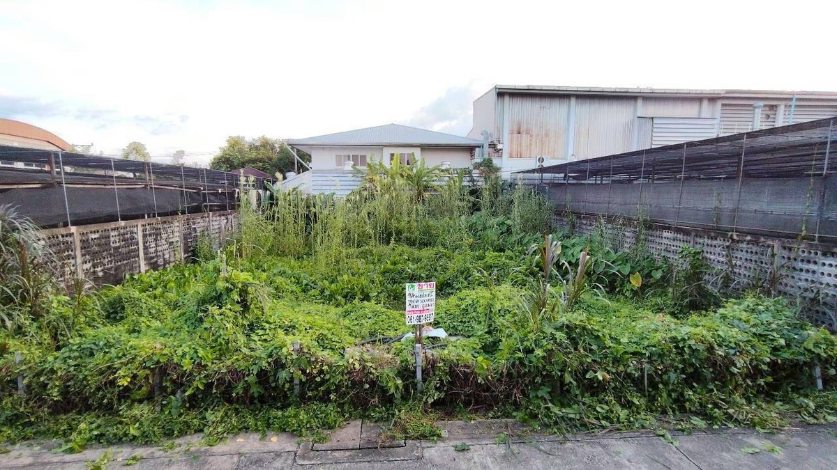 For SaleLandBang kae, Phetkasem : Land for Sale – Phetkasem 73, Soi 2
Nice rectangular plot, ideal for building a private house or small residential project