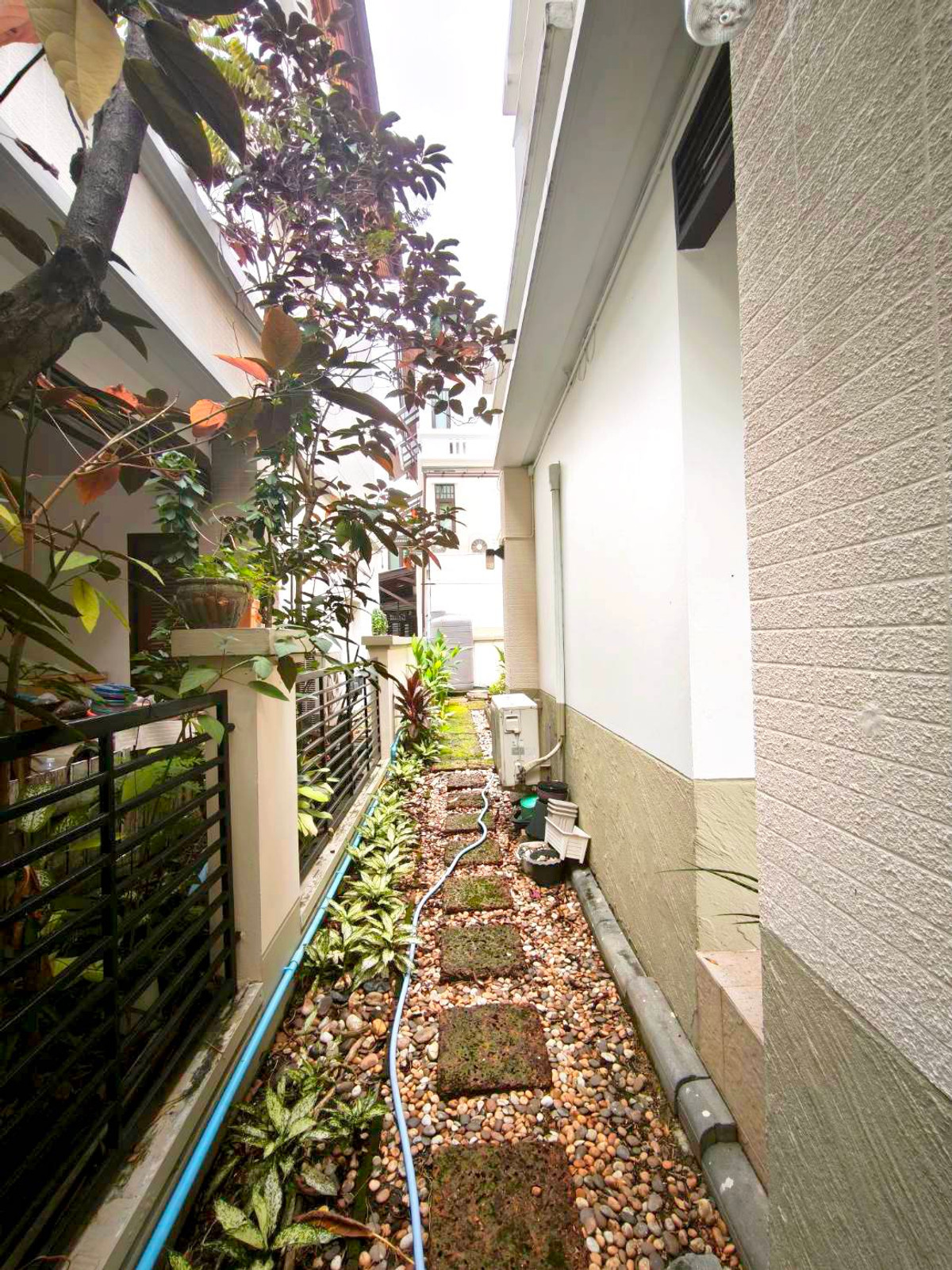 ขายบ้านอ่อนนุช อุดมสุข : 17/2/2026, บ้านเดี่ยว อารียา คาซ่า อ่อนนุช ใกล้ BTSอ่อนนุช บ้านเดี่ยว 3 ชั้น  หันหน้าทิศใต้