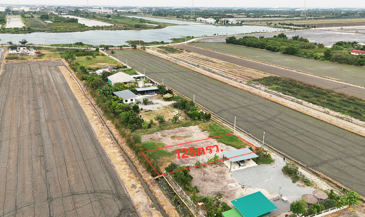 ขายที่ดินนนทบุรี บางใหญ่ บางบัวทอง : เจ้าของขายเอง ขายที่ดินใกล้บึงน้ำใหญ่ 125ตรว. ขุนศรี ไทรน้อย นนทบุรี